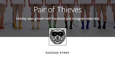 Case Study for Pair Of Thieves